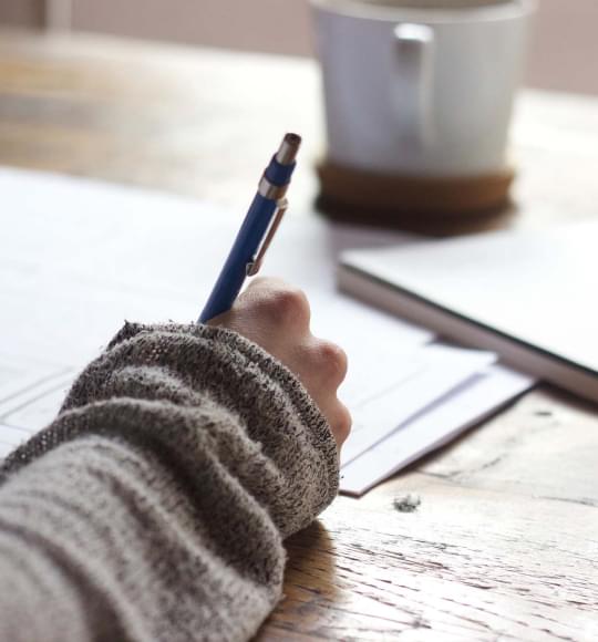 Highest Rated Online Courses